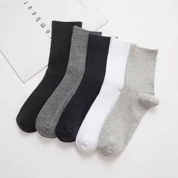 TOE BEANS BUSINESS SOCKS